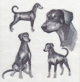 Doberman Sketch (Full Tail and Ears)