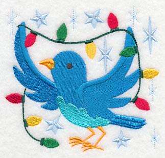 Bluebird Holly-Dazzle - Lights 2