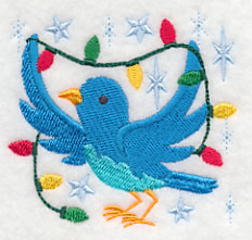 Bluebird Holly-Dazzle - Lights 2