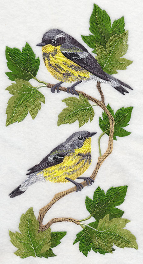 Magnolia Warbler Panel