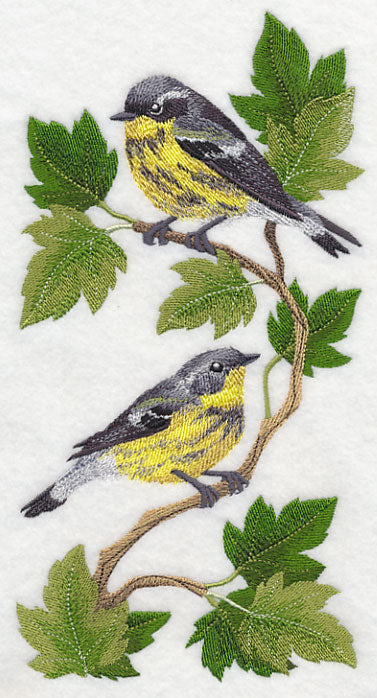 Magnolia Warbler Panel