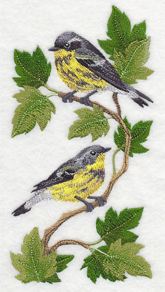 Magnolia Warbler Panel