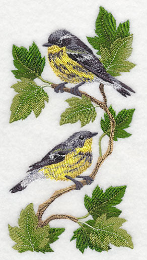 Magnolia Warbler Panel