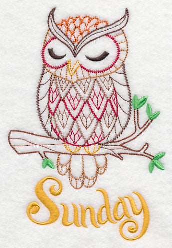 What a Hoot! Sunday (Vintage)