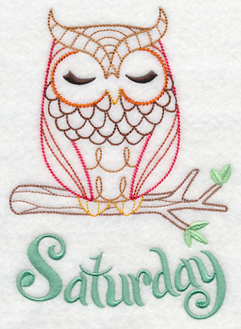 What a Hoot! Saturday (Vintage)