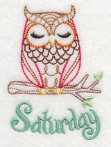 What a Hoot! Saturday (Vintage)
