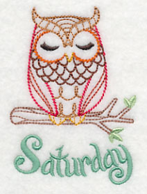 What a Hoot! Saturday (Vintage)