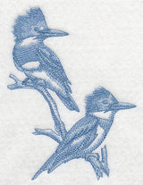 Kingfishers (Toile)