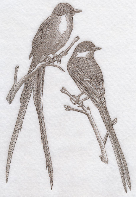 Fork-tailed Flycatchers (Toile)