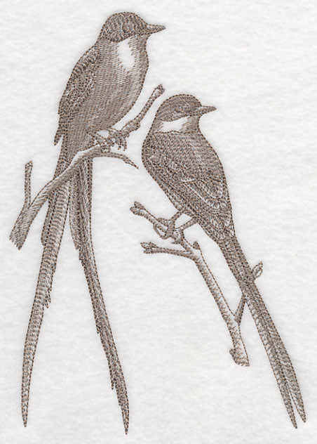 Fork-tailed Flycatchers (Toile)