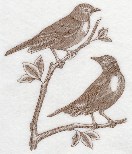 Robins (Toile)