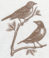 Robins (Toile)