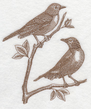 Robins (Toile)
