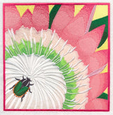 Green Protea Beetle on Protea Flower