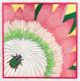 Green Protea Beetle on Protea Flower