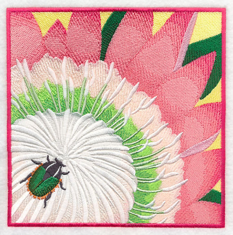 Green Protea Beetle on Protea Flower