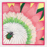 Green Protea Beetle on Protea Flower