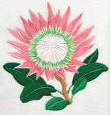 Protea Flower