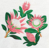 Protea Flower Collage