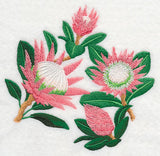 Protea Flower Collage