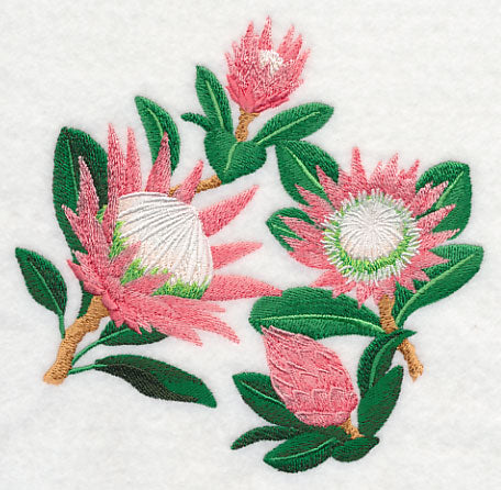 Protea Flower Collage