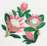 Protea Flower Collage