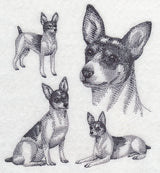 Rat Terrier Sketch