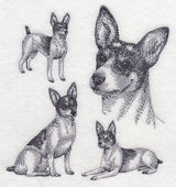 Rat Terrier Sketch