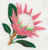 Protea Flower Single 1