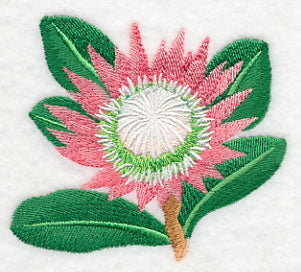 Protea Flower Single 2
