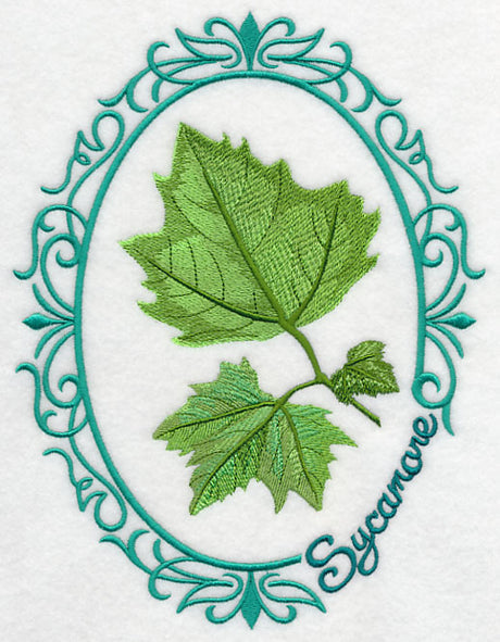 Leaf Cameo - Sycamore