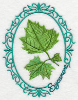Leaf Cameo - Sycamore