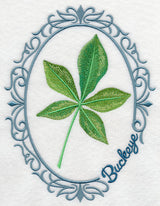 Leaf Cameo - Buckeye