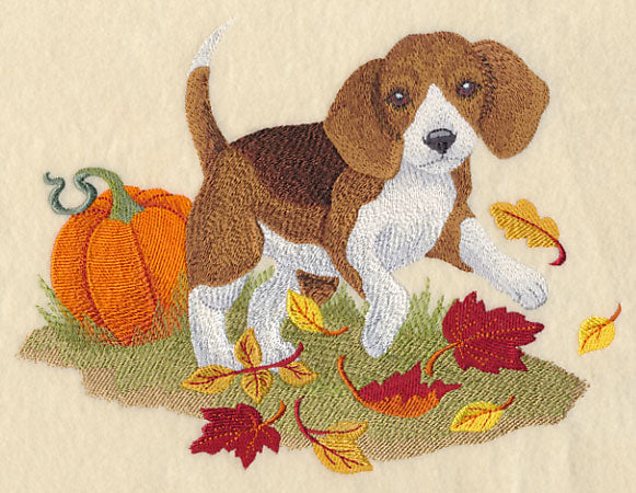 Barquesmore in Autumn