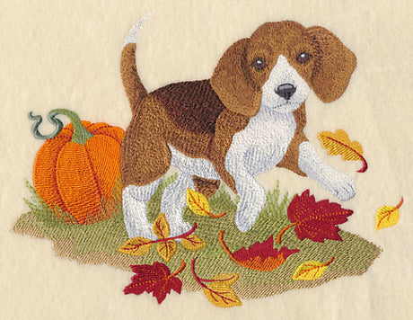 Barquesmore in Autumn