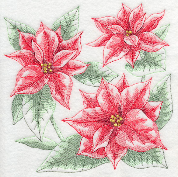 Silent Night Poinsettia Sketch