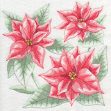 Silent Night Poinsettia Sketch