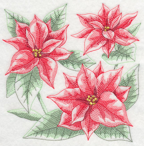 Silent Night Poinsettia Sketch