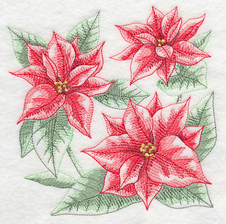 Silent Night Poinsettia Sketch