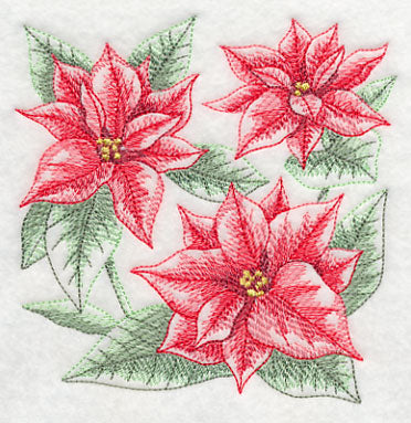 Silent Night Poinsettia Sketch