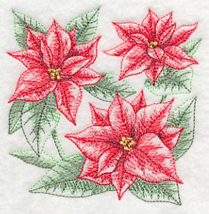 Silent Night Poinsettia Sketch