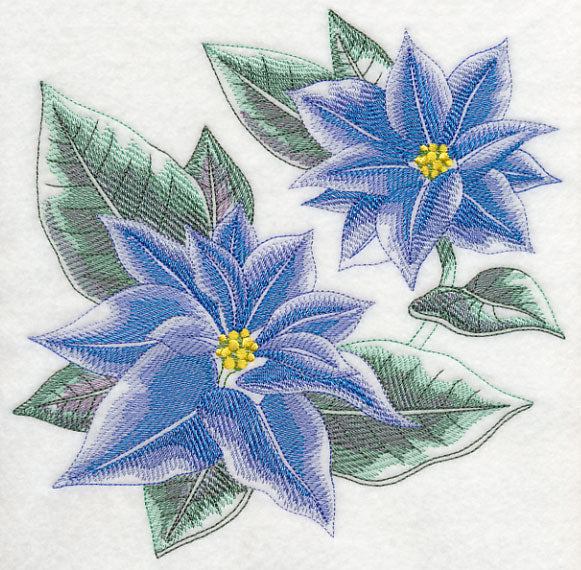 Blue Christmas Poinsettia Sketch