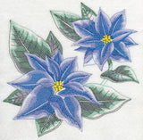 Blue Christmas Poinsettia Sketch