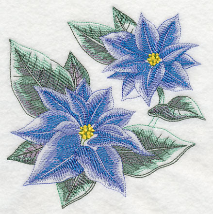 Blue Christmas Poinsettia Sketch