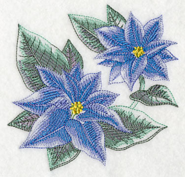 Blue Christmas Poinsettia Sketch