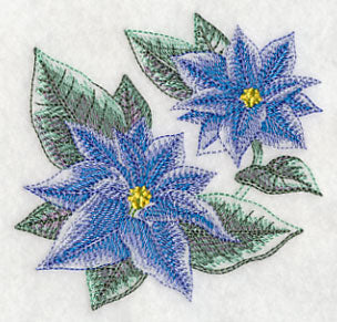 Blue Christmas Poinsettia Sketch