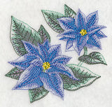 Blue Christmas Poinsettia Sketch