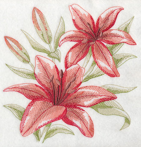 Scarlet Lilies Sketch