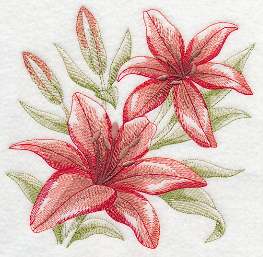 Scarlet Lilies Sketch