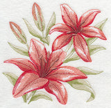 Scarlet Lilies Sketch